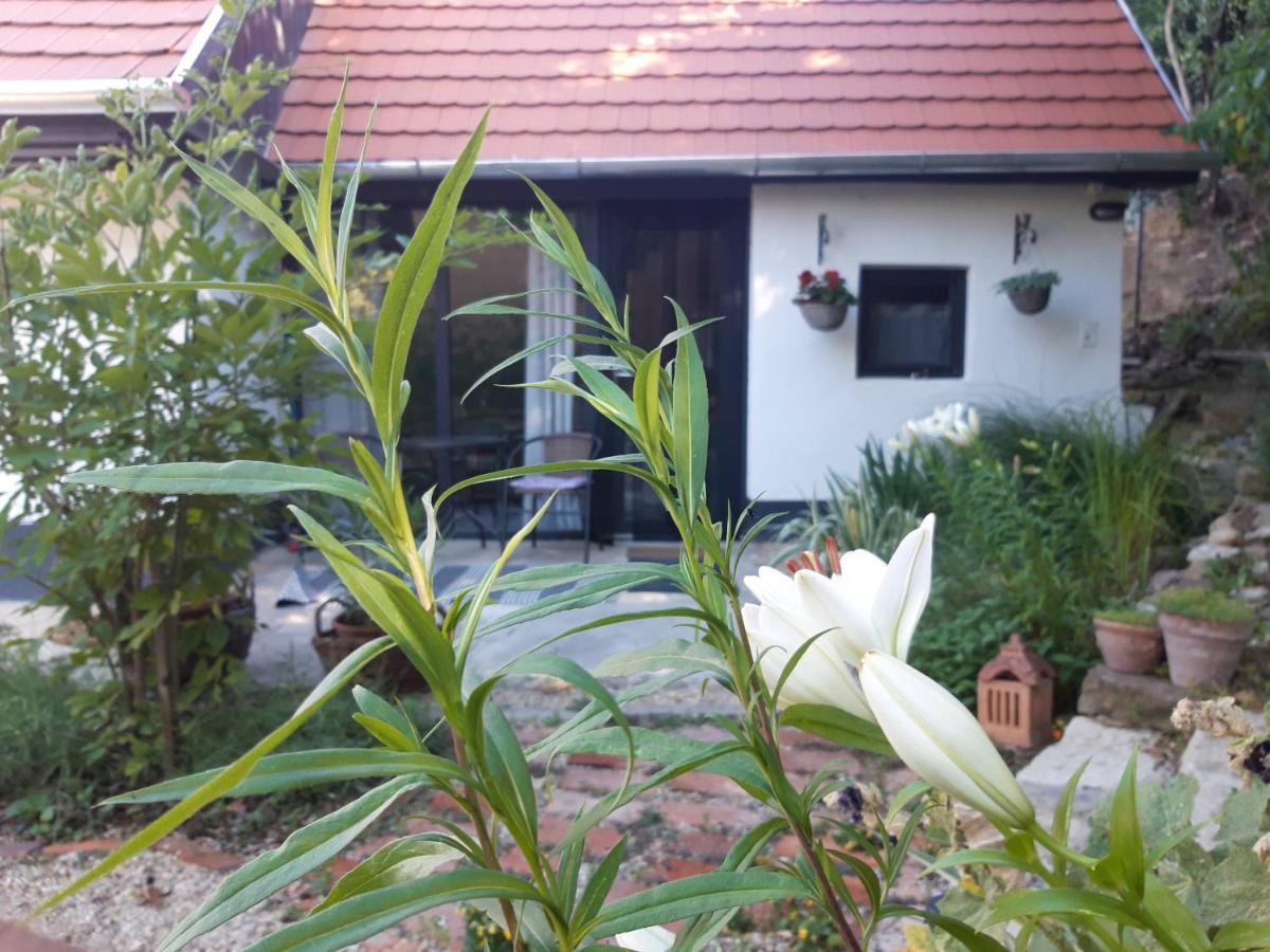 Kismadar Vendeghaz Noszvaj Apartment ภายนอก รูปภาพ