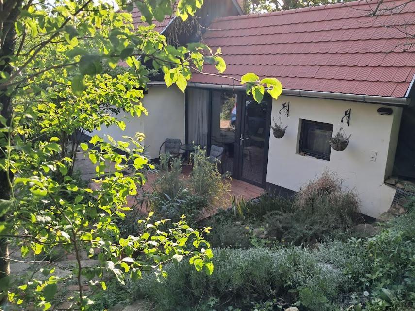 Kismadar Vendeghaz Noszvaj Apartment ภายนอก รูปภาพ